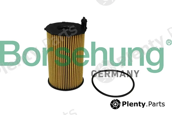 Borsehung B10540 — Oil Filter