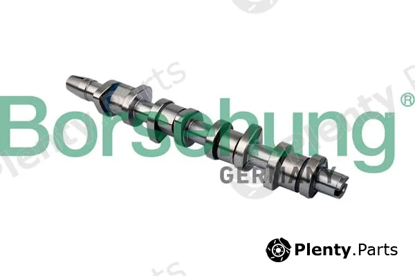 Borsehung B11323 — Camshaft