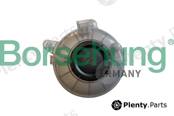 Borsehung B11941 — Expansion Tank, coolant