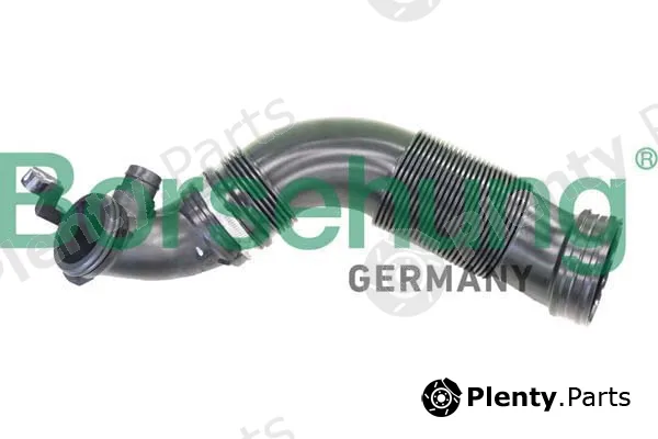 Borsehung B12325 — Intake Hose, air filter