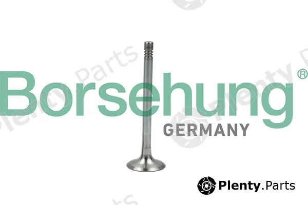 Borsehung B19005 — Exhaust Valve