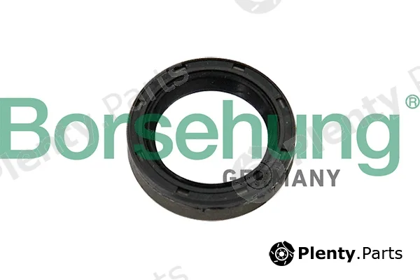 Borsehung B12192 — Shaft Seal, clutch release bearing shaft