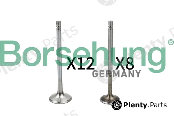 Borsehung B18635 — Valve Kit, intake/exhaust valve