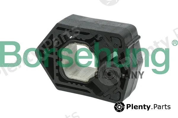 Borsehung B11358 — Mounting, radiator