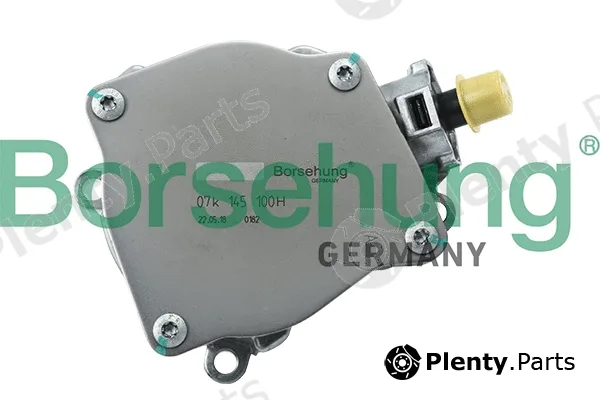 Borsehung B18774 — Vacuum Pump, braking system
