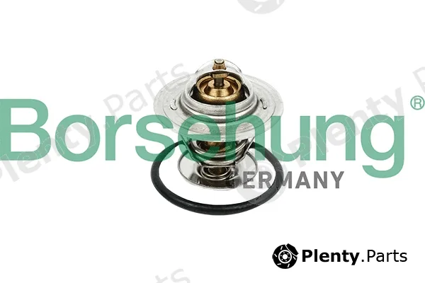 Borsehung B18258 — Thermostat, coolant