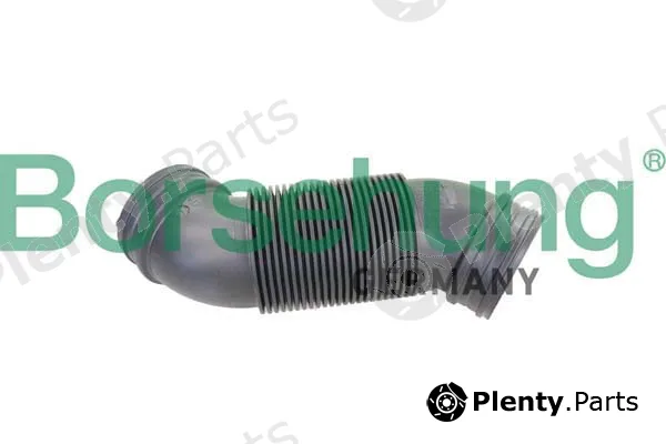 Borsehung B12323 — Intake Hose, air filter