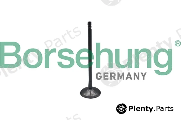 Borsehung B10323 — Intake Valve