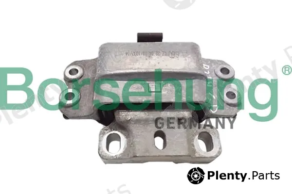 Borsehung B10991 — Mounting, engine