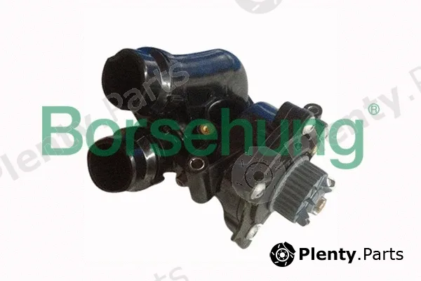 Borsehung B12691 — Water Pump, engine cooling
