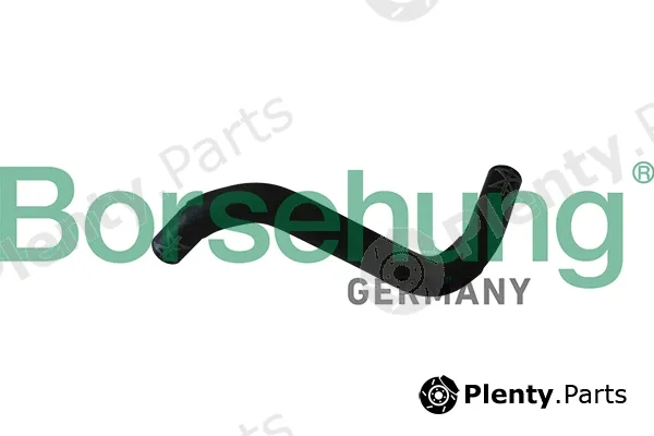 Borsehung B11986 — Radiator Hose