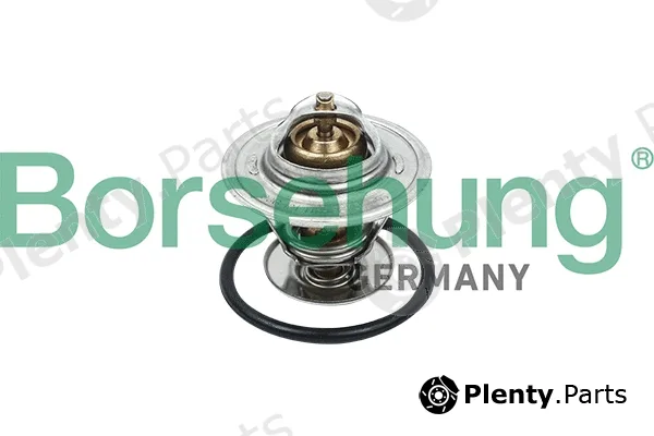 Borsehung B18260 — Thermostat, coolant