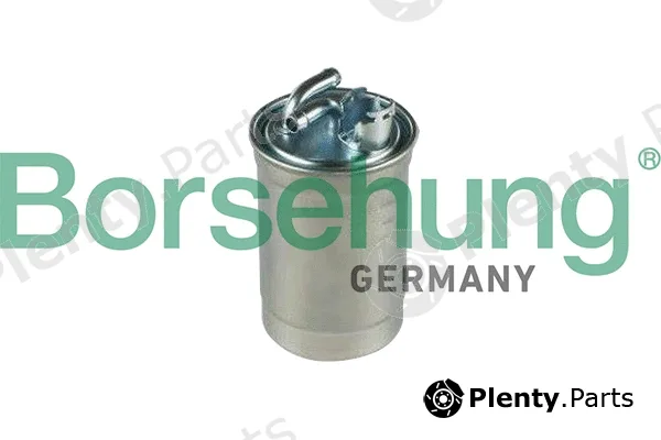 Borsehung B10480 — Fuel Filter