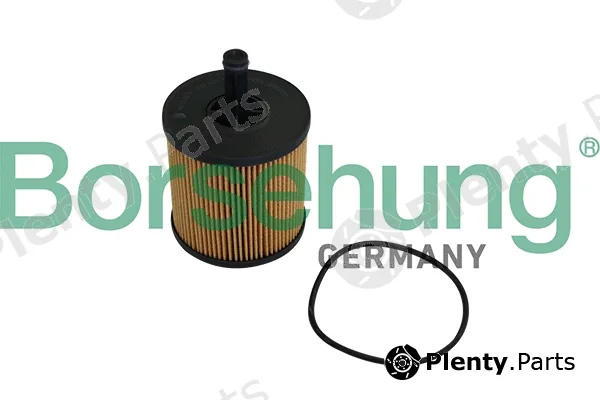 Borsehung B10548 — Oil Filter