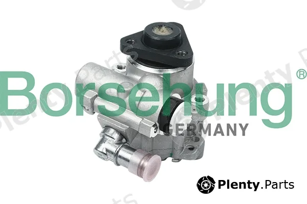 Borsehung B18224 — Hydraulic Pump, steering