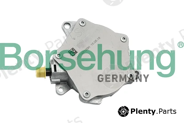 Borsehung B18775 — Vacuum Pump, braking system