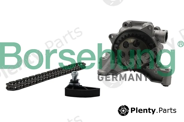 Borsehung B19175 — Repair Kit, oil pump