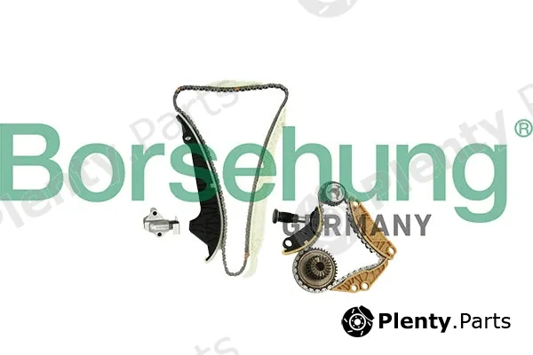 Borsehung B10220 — Timing Chain Kit