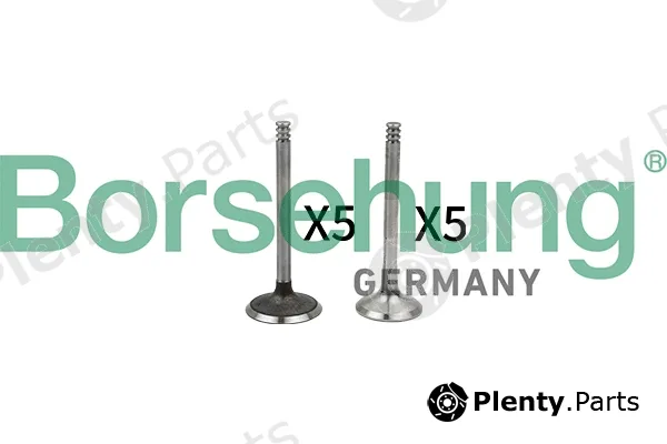 Borsehung B18662 — Valve Kit, intake/exhaust valve