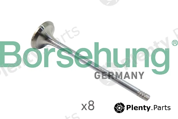 Borsehung B10322 — Intake Valve