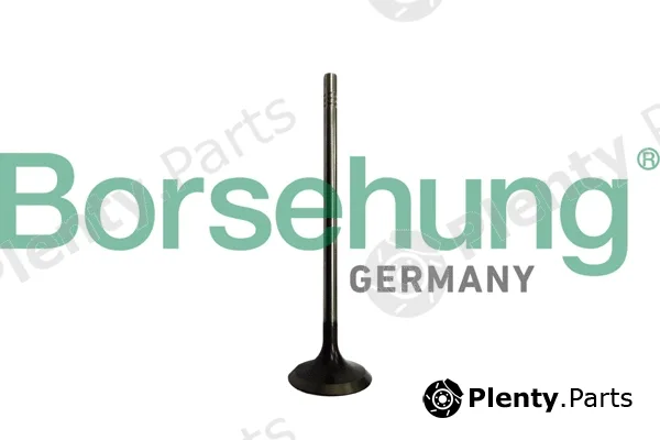 Borsehung B10328 — Intake Valve