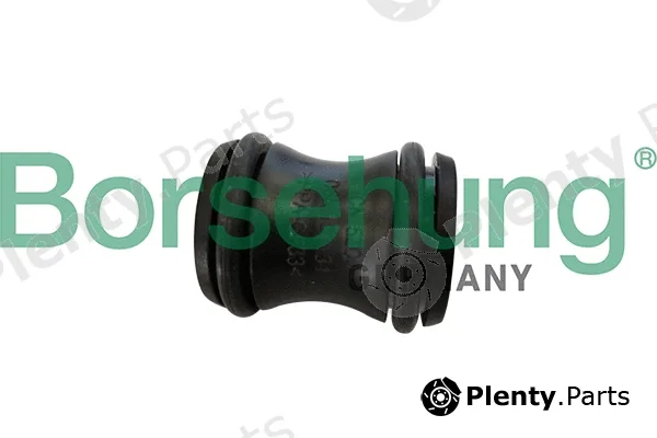 Borsehung B11990 — Coolant Flange