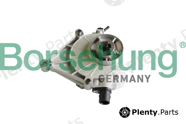 Borsehung B12221 — Vacuum Pump, braking system