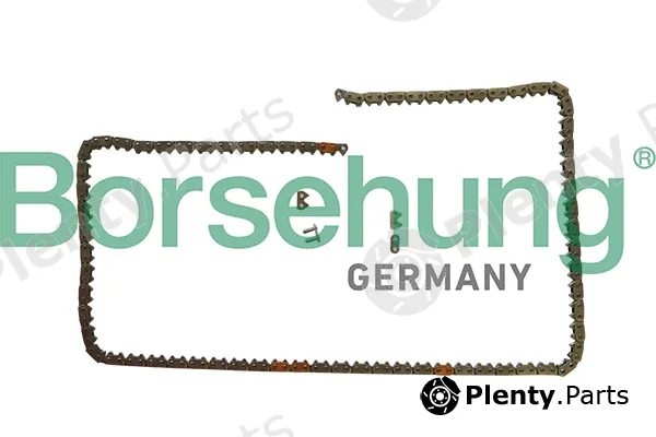 Borsehung B1C031 — Timing Chain