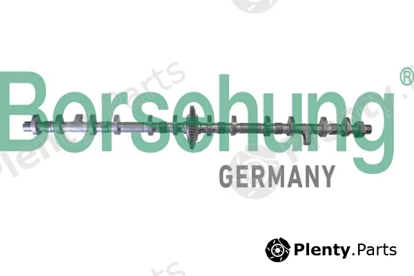 Borsehung B11325 — Camshaft Adjuster