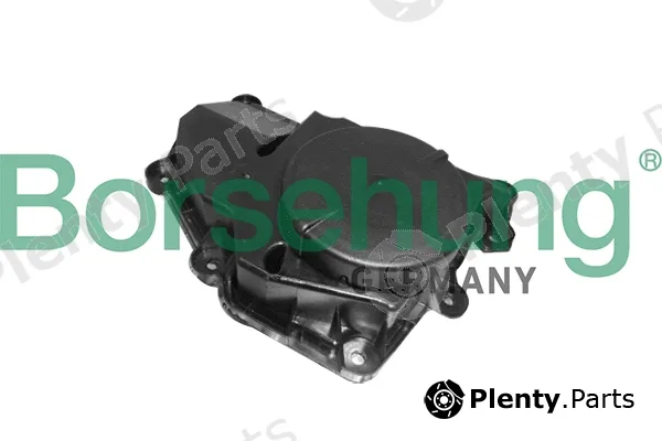Borsehung B11918 — Oil Separator, crankcase ventilation
