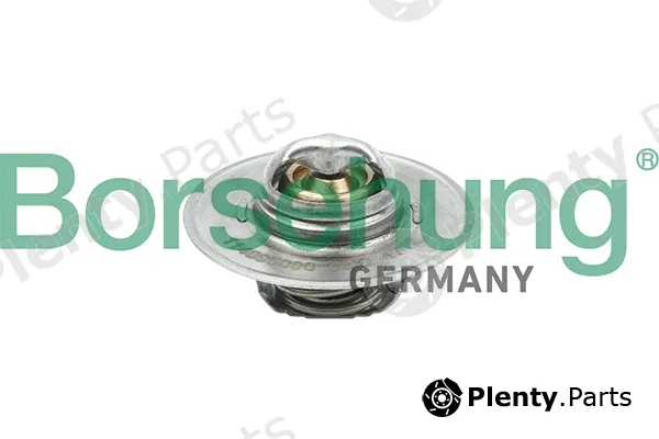 Borsehung B18280 — Thermostat, coolant