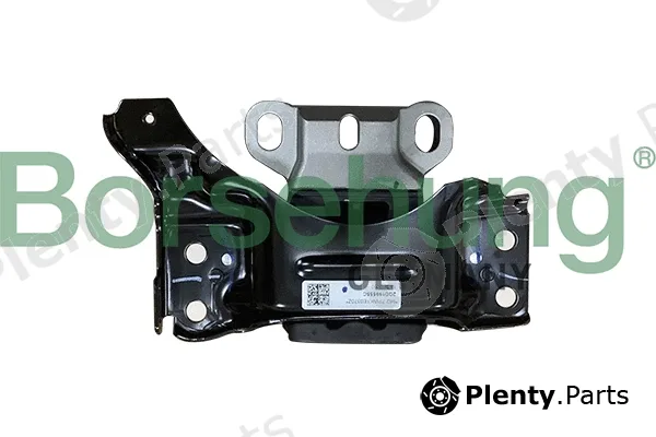 Borsehung B10987 — Mounting, engine