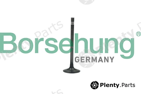Borsehung B19006 — Exhaust Valve