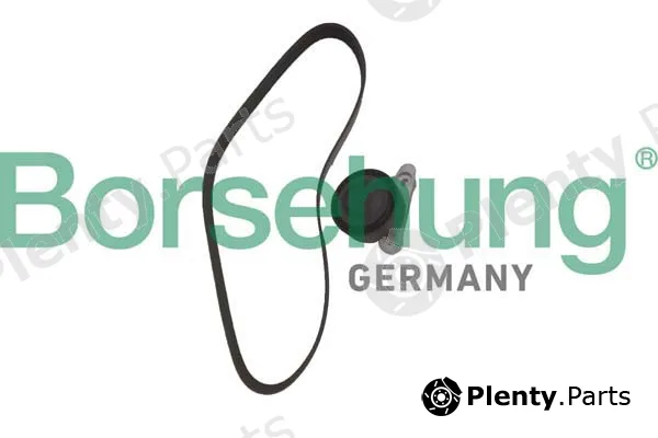 Borsehung B12362 — Pulley Kit, V-ribbed belt