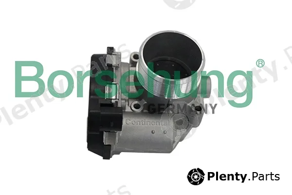 Borsehung B19171 — Throttle Body