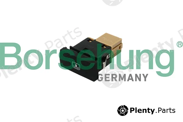 Borsehung B18908 — Multi-Function Switch