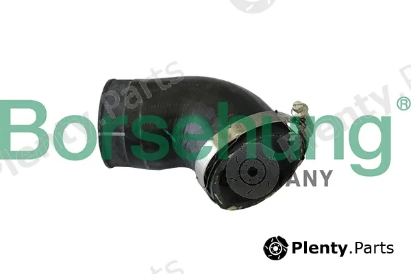 Borsehung B11973 — Charge Air Hose