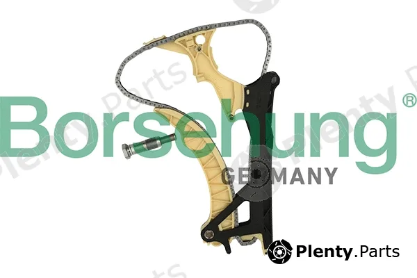 Borsehung B18855 — Timing Chain Kit