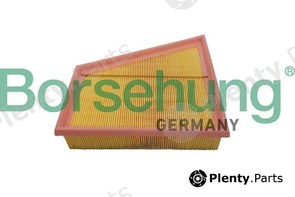 Borsehung B12359 — Air Filter