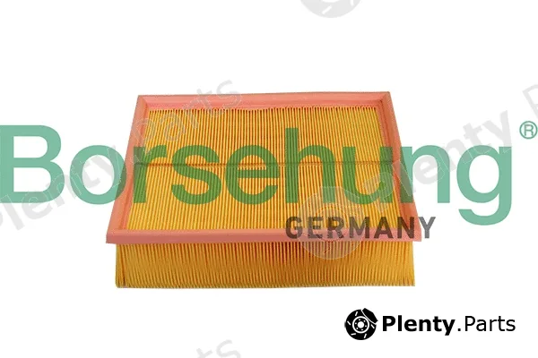 Borsehung B10545 — Air Filter