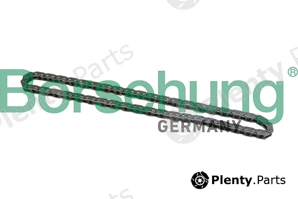 Borsehung B1C021 — Timing Chain