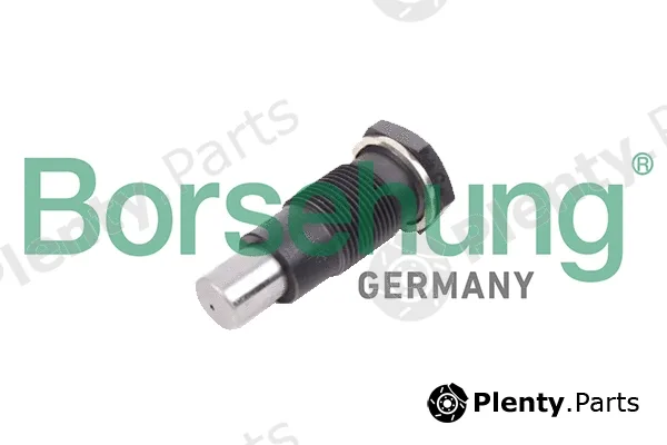 Borsehung B1T005 — Tensioner, timing chain