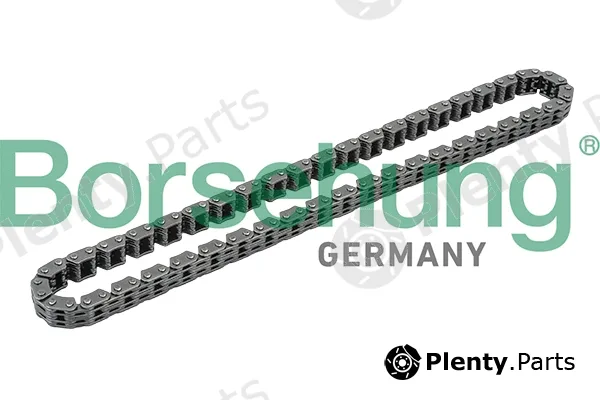 Borsehung B1C015 — Timing Chain