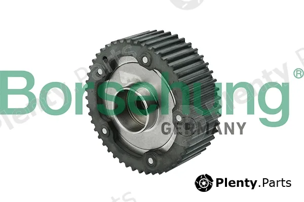 Borsehung B17948 — Camshaft Adjuster