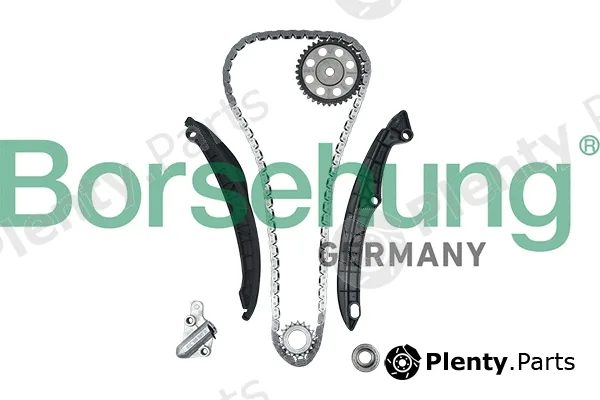 Borsehung B16299 — Timing Chain Kit
