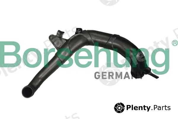 Borsehung B12350 — Charge Air Hose