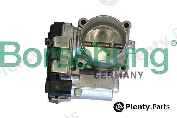 Borsehung B19290 — Throttle Body