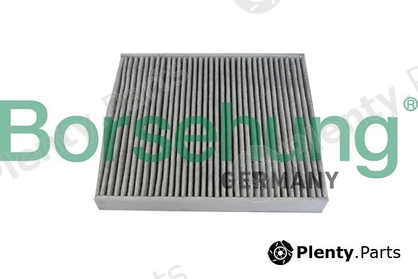 Borsehung B10534 — Filter, cabin air