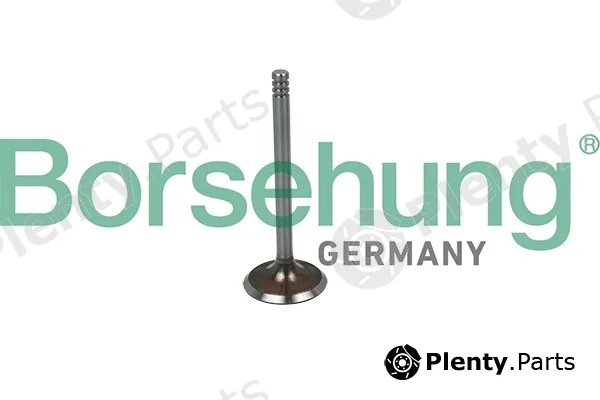 Borsehung B19030 — Intake Valve