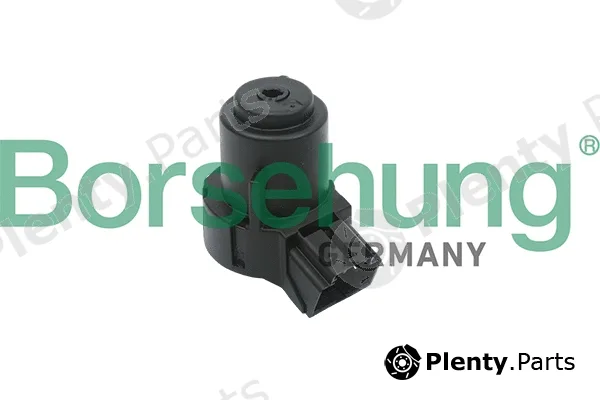 Borsehung B17994 — Ignition Switch